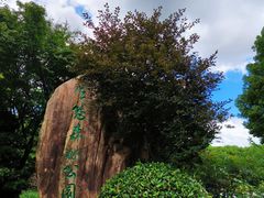 -昆山城市生态森林公园