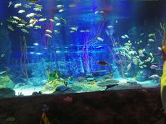 -沈阳海洋探索中心