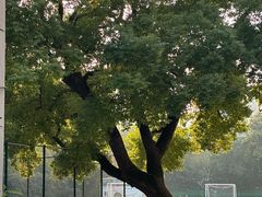 -浙江省杭州高级中学(贡院校区)