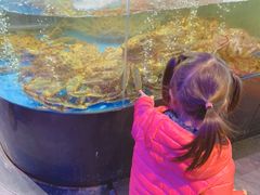 -蟹之国·精品蟹料理(极地店)