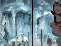 -帝企鹅自助餐厅•儿童岛•真企鹅(长隆企鹅酒店)