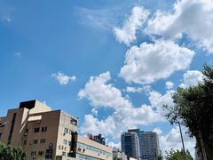 -龙塔