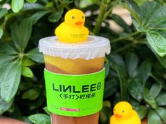 -LINLEE林里·手打柠檬茶(王府井APM店)