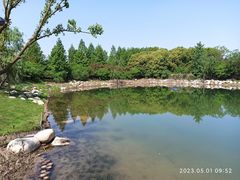 -澹台湖公园