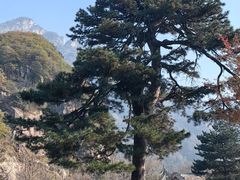 -秦岭终南山世界地质公园翠华山景区