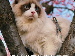 -食膳公园包子铺(烈士公园店)