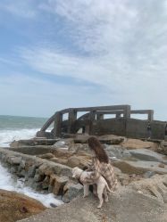 -HANYI韩艺形象店