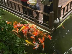 -顺德渔村·岭南一号