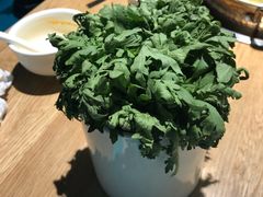 -青瓷火锅料理(西单大悦城店)
