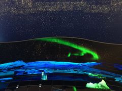 -迪拜水族馆及水下动物园