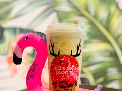 -Flamingo Bloom(TST /尖沙咀店)