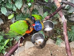 -南宫温泉水世界