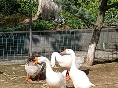 -苏州香山国际大酒店