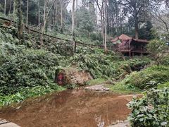 -青城山