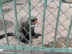 -秦皇岛野生动物园
