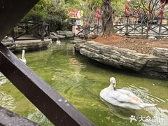 -灵玲国际马戏城