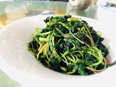 苋菜-渔舟意·湖南家宴(萝岗纳金城店)
