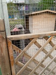 -萌宠亲子动物乐园(槐房万达店)