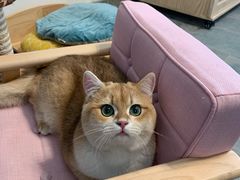 -宁波野生动物园