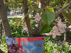 -东北大学(南湖校区)