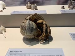 -上海中国航海博物馆