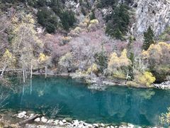 -叠溪松坪沟景区