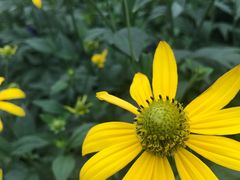 -怀托摩萤火虫洞