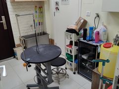 -美联众合动物医院·24h京西诊疗中心