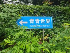 -青青世界