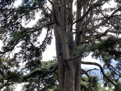 -终南山南五台景区