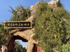 -大槐树寻根祭祖园