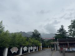 -北京鹫峰国家森林公园