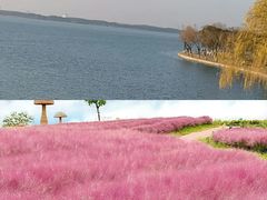 -阳澄湖半岛旅游度假区