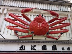 -蟹道乐(道顿堀本店)