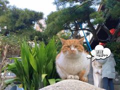 -龙华寺
