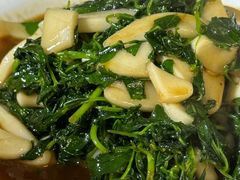 -老白酒农家菜馆