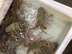 -拉威海鲜市场
