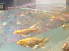 等候区-中影国际影城(兰生大厦CINITY LED店)