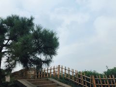 -中国茶叶博物馆(双峰馆区)