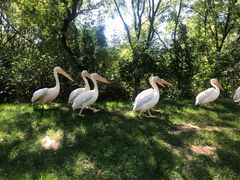 -北京野生动物园