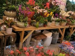 -双季花艺园艺市场(浦东店)