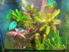 -Rabbit Cafe私房西餐甜点咖啡(栖霞路店)