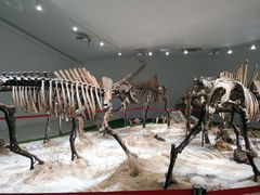 -南通洲际绿博园