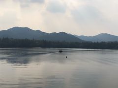 -西湖外事游船(花港观鱼码头)