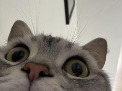 -天津市第一殡仪馆