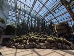 -南山植物园