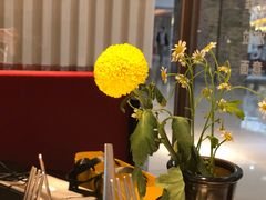 -阿妮叶李(光谷世界城店)