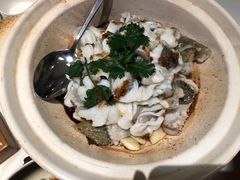 砂锅焗鲜鱼-松鹤楼·非遗·苏帮菜(融科店)