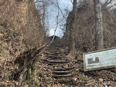-天女山森林公园