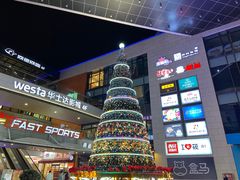 -浦江城市生活广场(江月路店)